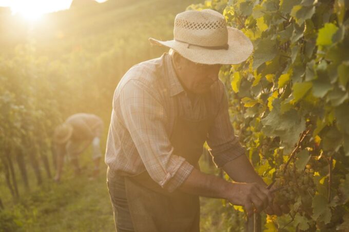 Champagne Private Tour From Your Hotel in Paris - Historic Village of Hautvillers
