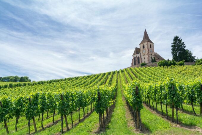 Champagne Private Tour From Your Hotel in Paris - Champagne Countryside Drive