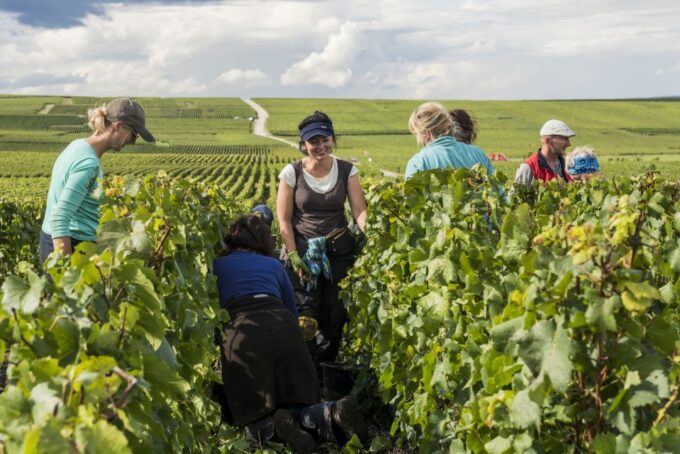 Champagne Private Tour From Your Hotel in Paris - Frequently Asked Questions