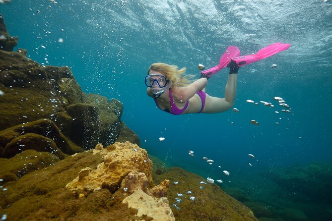 Champagne Reef, Bubble Beach and Scotts Head Snorkeling Tour by Boat in Dominica - Relaxing Hot Springs at Bubble Beach