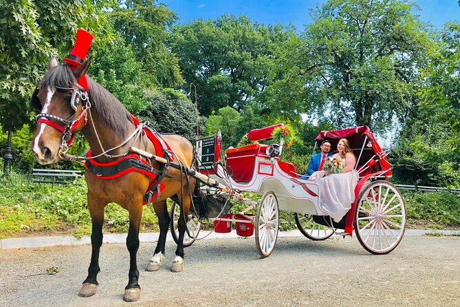 CHAMPAGNE RIDE Central Park With Photos (50 Min) ~ Skip the Line - Accessibility