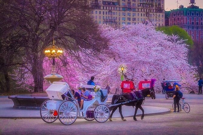 CHAMPAGNE RIDE Central Park With Photos (50 Min) ~ Skip the Line - Romantic Experience