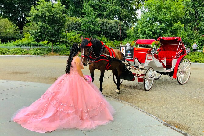 CHAMPAGNE RIDE Central Park With Photos (50 Min) ~ Skip the Line - Celebration in the Park