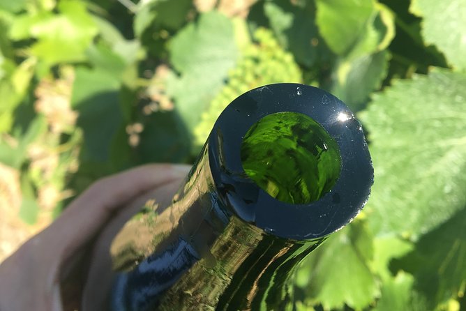 Champagne Sabrage & Tasting - Champagne PIERRE Laurent - Booking and Cancellation Policy