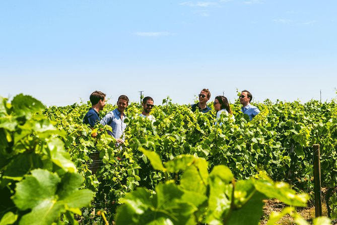 Champagne Small-Group Tour With Tastings and Lunch From Epernay - Inclusions and Exclusions of the Tour