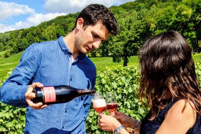 Champagne Small-Group Wine Day Trip With Wine Tastings and Lunch - Cancellation Policy