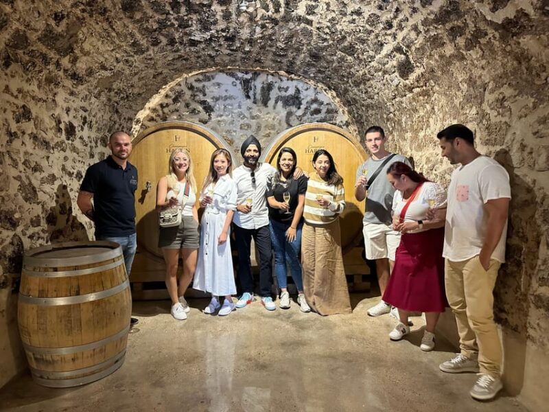 Champagne Vineyard Experience: Delve Into the Terroir - Important Requirements and Policies