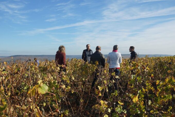 Champagne Vineyard Experience: Delve Into the Terroir - Customer Feedback and Ratings