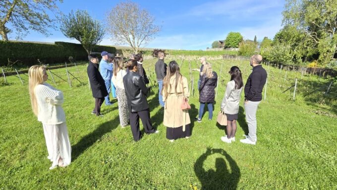 Champagne Vineyard Experience: Delve Into the Terroir - Meeting the Champagne Producer