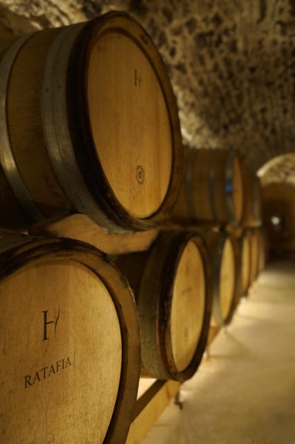 Champagne Vineyard Experience: Delve Into the Terroir - Frequently Asked Questions