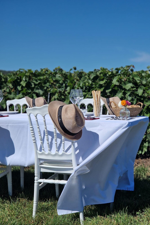 Champagne Vineyards Picnic - Key Points