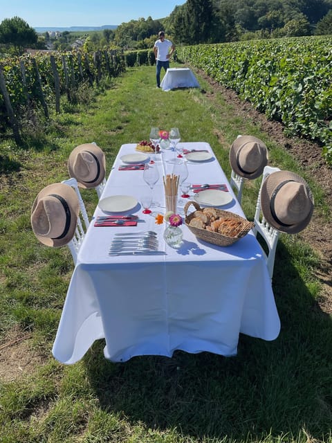 Champagne Vineyards Picnic - Local Terroir Products