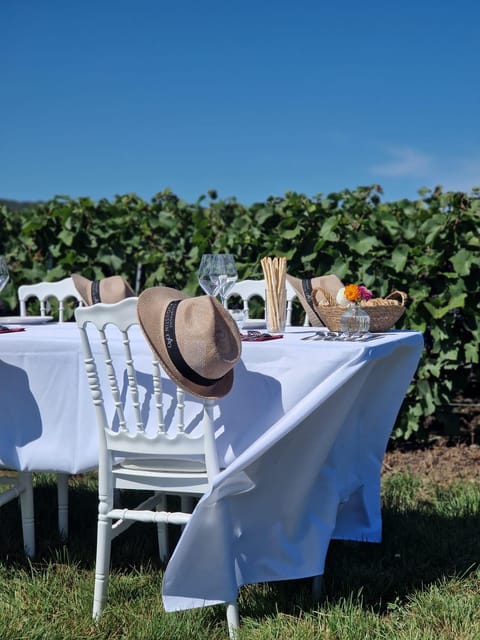 Champagne Vineyards Picnic (With Transportation) - Key Points