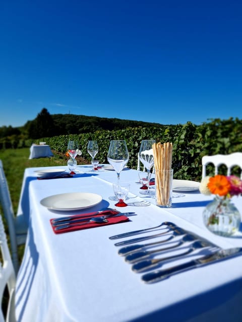 Champagne Vineyards Picnic (With Transportation) - Experience Highlights