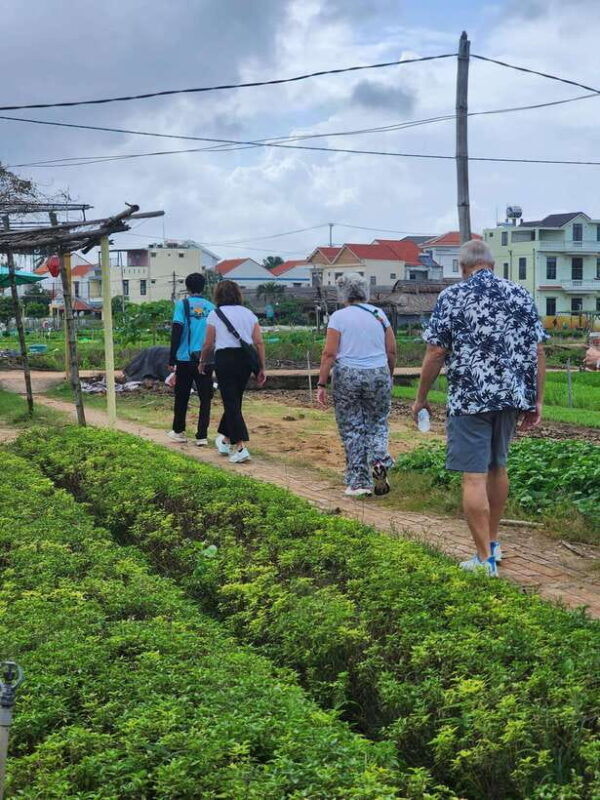Chan May Port/ Tien Sa Port Tour Da Nang & Hoi an Highlights - Discovering the Timeless Beauty of Hoi An