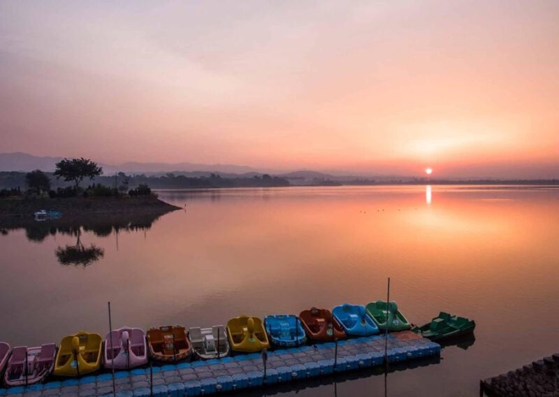 Chandigarh Nightlife Tour With Shopping and Food Tasting - Key Points