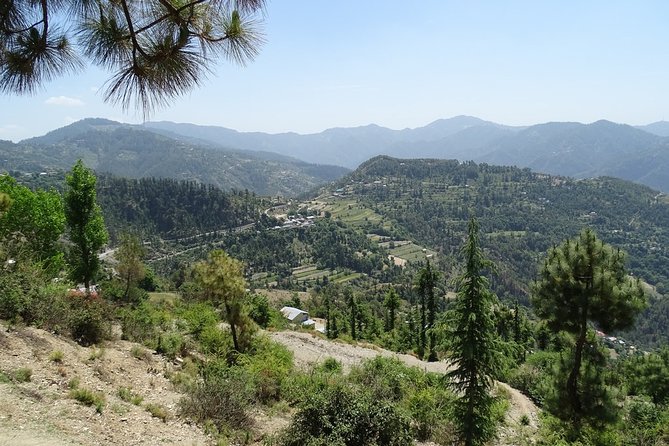 Chandigarh to Shimla Hill Station 4-Days Private Tour - Exploring Chandigarh