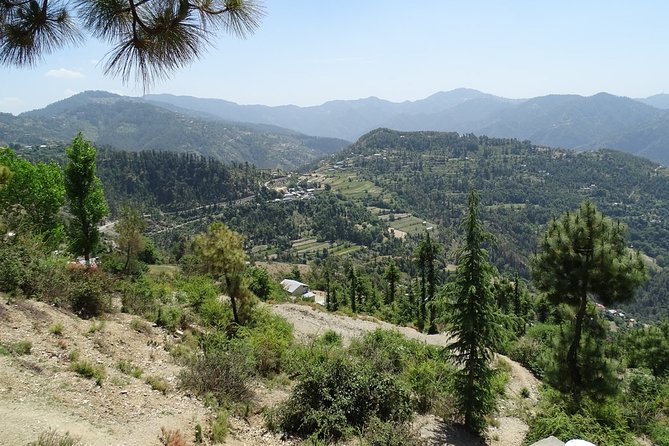 Chandigarh to Shimla Hill Station 4-Days Private Tour - Accommodations and Transfers