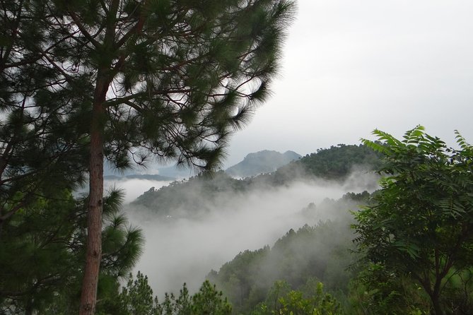 Chandigarh to Shimla Hill Station 4-Days Private Tour - Pricing and Cancellation Policy
