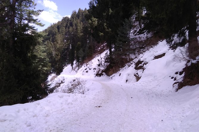 Chandigarh to Shimla Hill Station 4-Days Private Tour - Getting to Chandigarh and Shimla