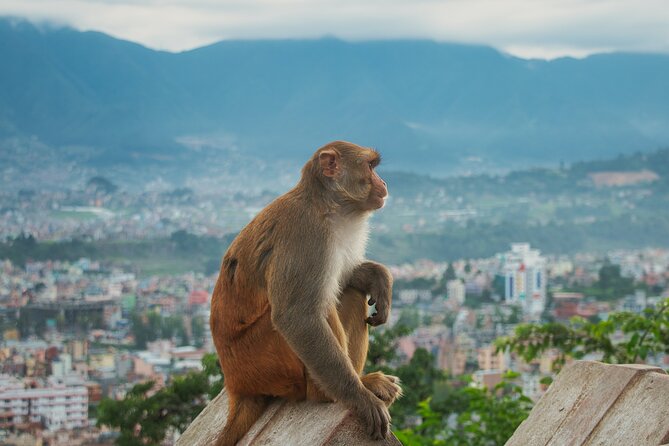 Chandragiri Cable Car Ride and Half Day Kathmandu Sightseeing - Traveler Feedback and Reviews