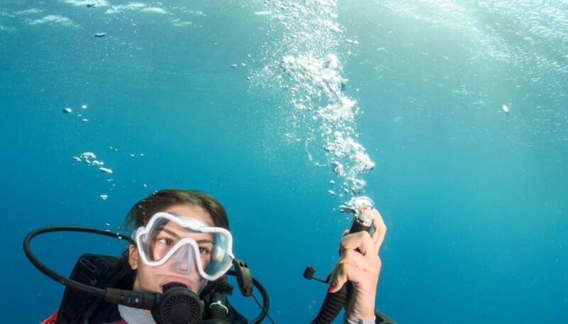Chania: 2 Boat Dives for Certified Divers - Booking and Flexibility
