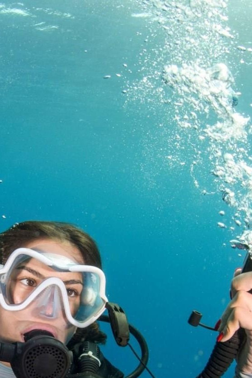Chania: 2 Boat Dives for Certified Divers - Dive Site Highlights