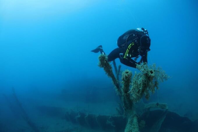 Chania: 2 Boat Dives for Certified Divers - Frequently Asked Questions