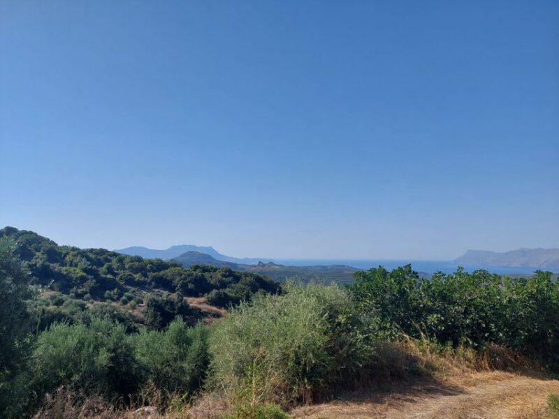Chania: 5-Wine Tasting With Locals in Village Near Kissamos - Key Points