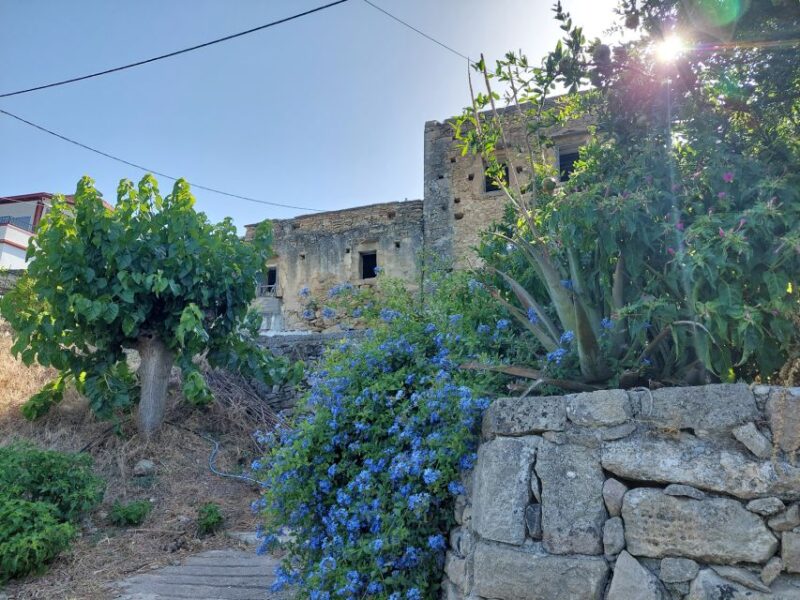 Chania: 5-Wine Tasting With Locals in Village Near Kissamos - Unique Winemaking Processes