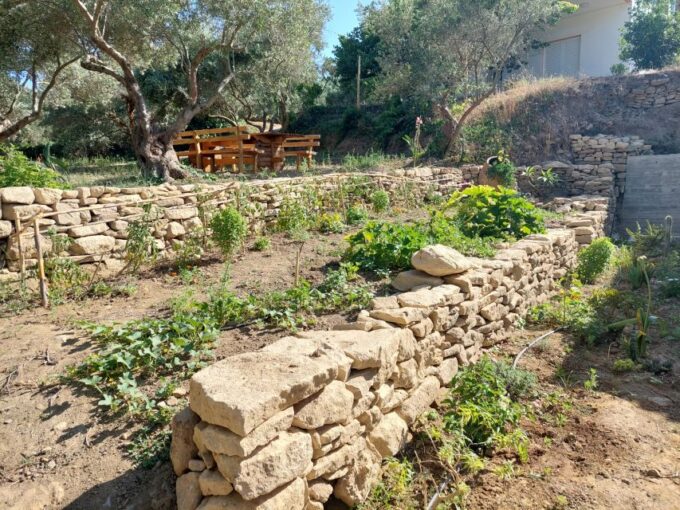 Chania: 5-Wine Tasting With Locals in Village Near Kissamos - Locally-sourced Delicacies