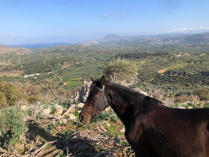 Chania Area: Cooking Class at a Farm in Stylos Village - Arrival and Greeting