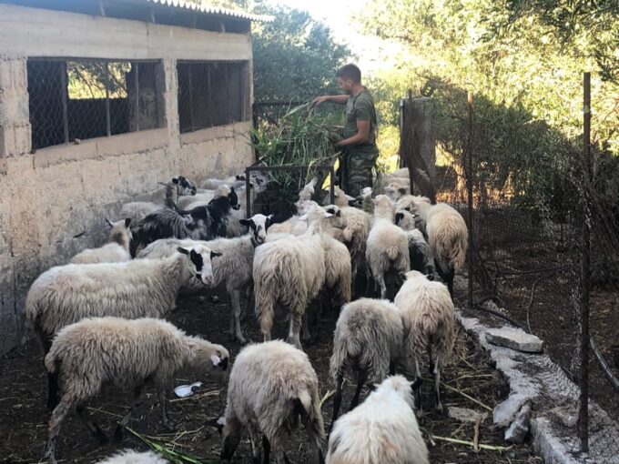 Chania Area: Cooking Class at a Farm in Stylos Village - Meal and Refreshments