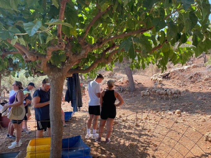 Chania Area: Cooking Class at a Farm in Stylos Village - Frequently Asked Questions