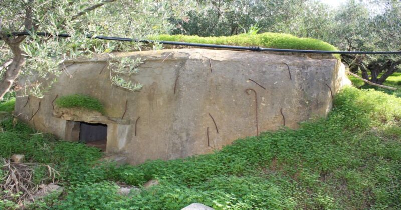 Chania Battle of Crete Private Tour: WW2 Military History - Abandoned Bunkers and Private Museum