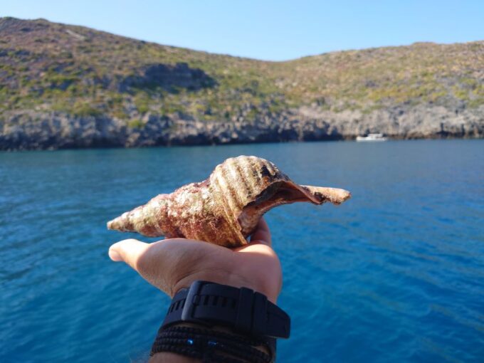 Chania: Boat Cruise to Agioi Theodoroi and Lazaretta Island - Getting to the Departure Point