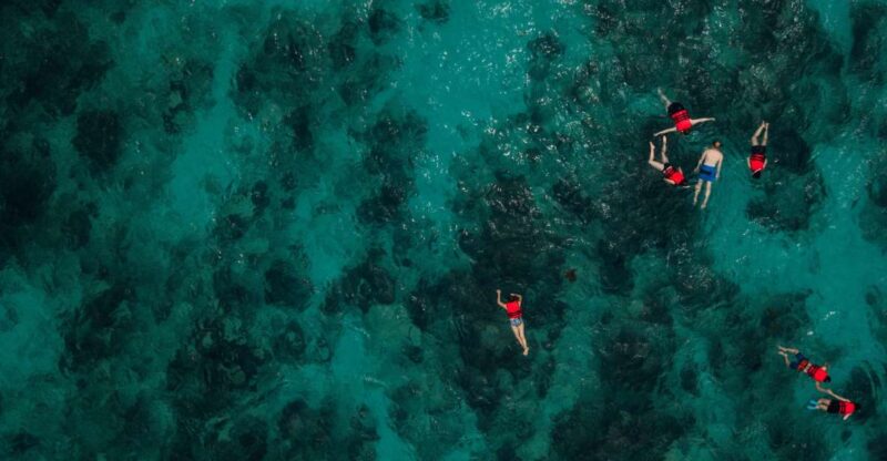 Chania: Boat Trip With Guided Snorkeling Tour - Key Points