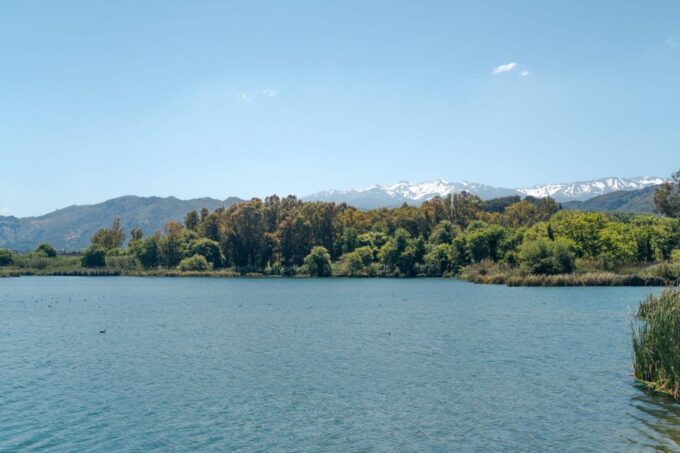 Chania Countryside/Winery Visit With a Private Driver - Private Driver and Transportation