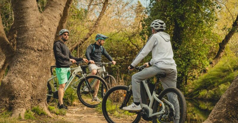 Chania: E-Bike Tour From Platanias-Agias Lake and Vatolakos - Pricing and Inclusions
