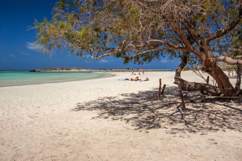Chania: Elafonisi and Milia Mountain With Loungers and Lunch - Activities
