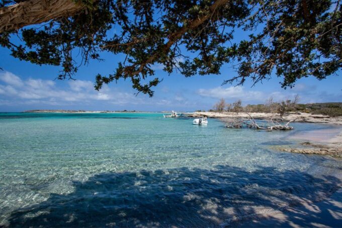 Chania: Elafonisi and Milia Mountain With Loungers and Lunch - Experience Milia Mountain Retreat