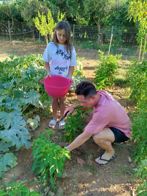Chania: Greek Cooking Class With Meal & Drinks - Cooking Experience