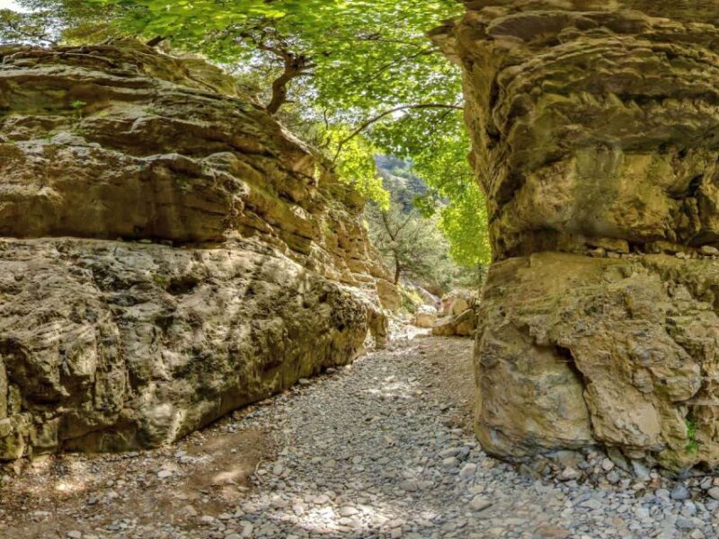 Chania: Imbros Gorge and Libyan Sea Day Tour - Included Experiences