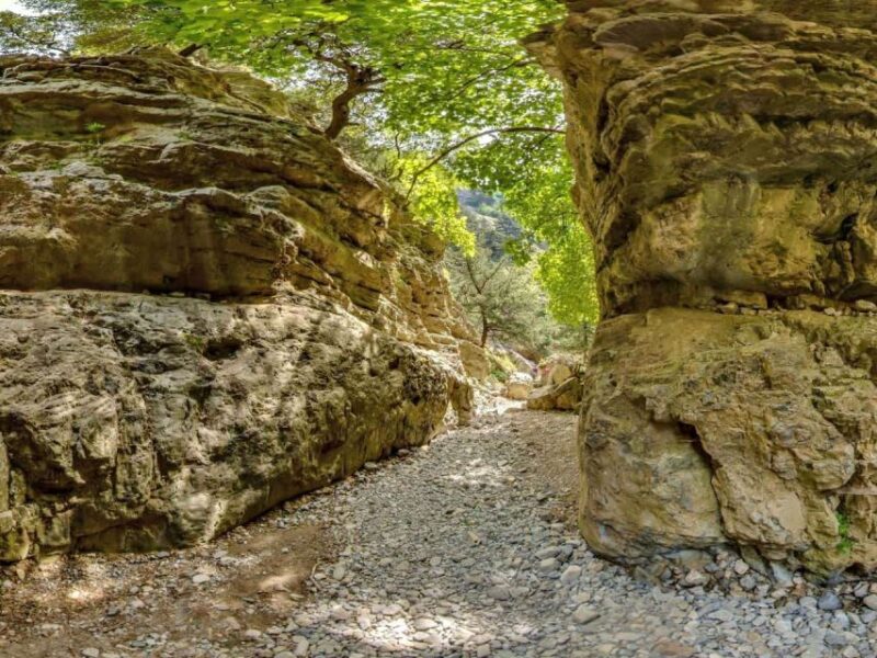 Chania: Imbros Gorge and Libyan Sea Day Tour - Exclusions and Fees