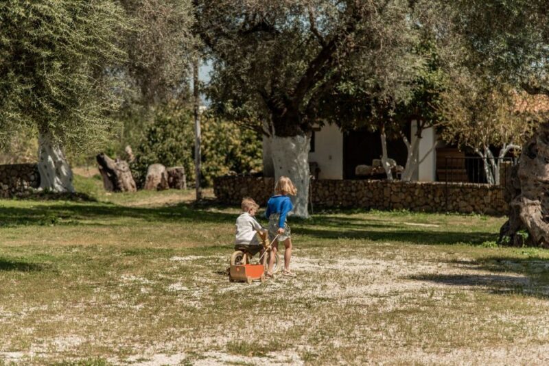 Chania Luxury Jeep Safaris: Manousakis Vineyard & Winery - Panoramic Vistas