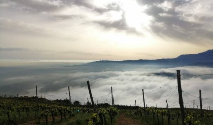 Chania Luxury Jeep Safaris: Manousakis Vineyard & Winery - Booking Information