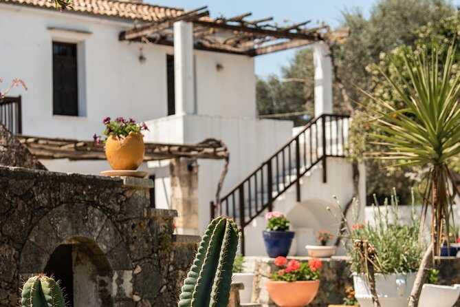 Chania Luxury Jeep Safaris: Secrets of Wine & Olive Oil Tastings - Indulging in Premium Wine Tastings