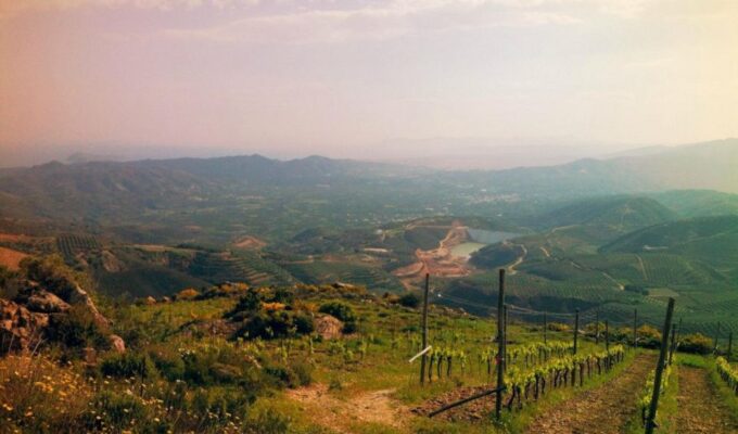 Chania Luxury Jeep Safaris: Wine & Olive Oil Tasting Secrets - Visiting Terra Creta Olive Estate