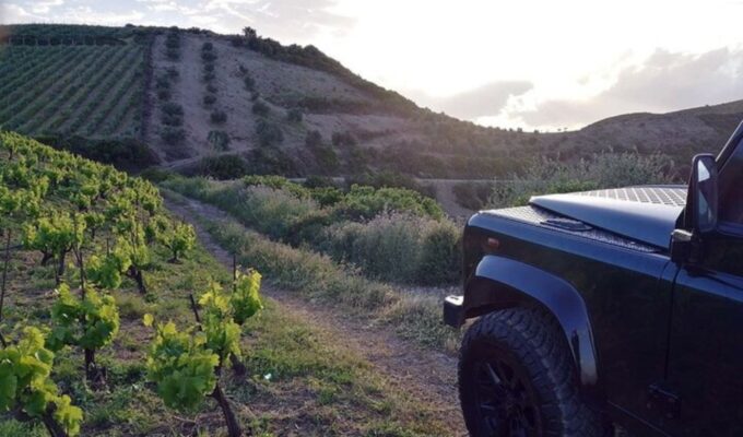 Chania Luxury Jeep Safaris: Wine & Olive Oil Tasting Secrets - Frequently Asked Questions