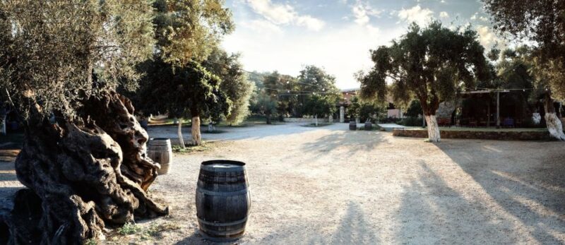 Chania: Manousakis Winery Tour With Wine Tasting - Customer Reviews
